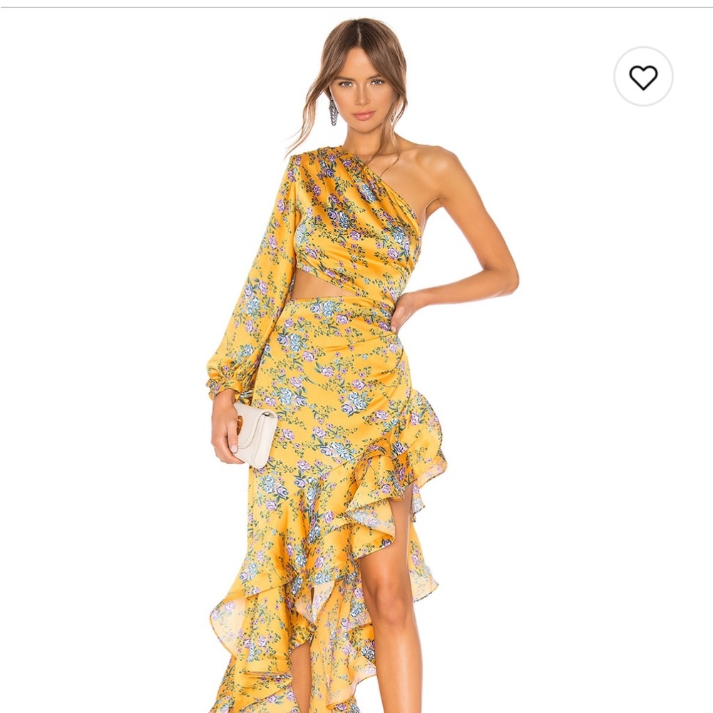 Bronx and Banco Hanna Gown Size Small